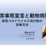 Thumbnail of post image 010