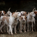 Thumbnail of post image 000