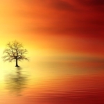 Thumbnail of post image 009