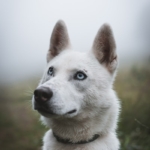 Thumbnail of post image 021