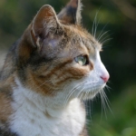 Thumbnail of post image 090