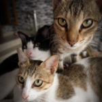 Thumbnail of post image 049